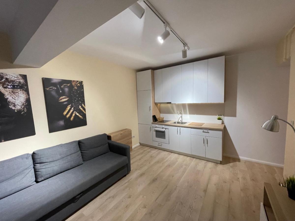 Ruby Luxury Apartment Close To Presidential Palace 布加勒斯特 外观 照片